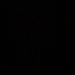 Meet your Posher, Tyson